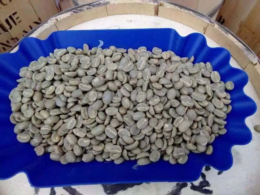 咖啡师入门必看的咖啡知识,精品咖啡学中咖啡的基本知识