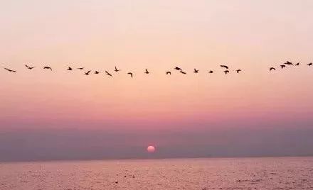 送对礼物的人，从来不怕回家过年！