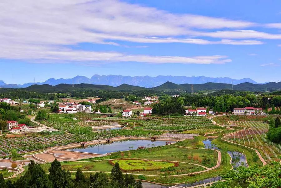 早安地球村最新政策,早安地球完整版