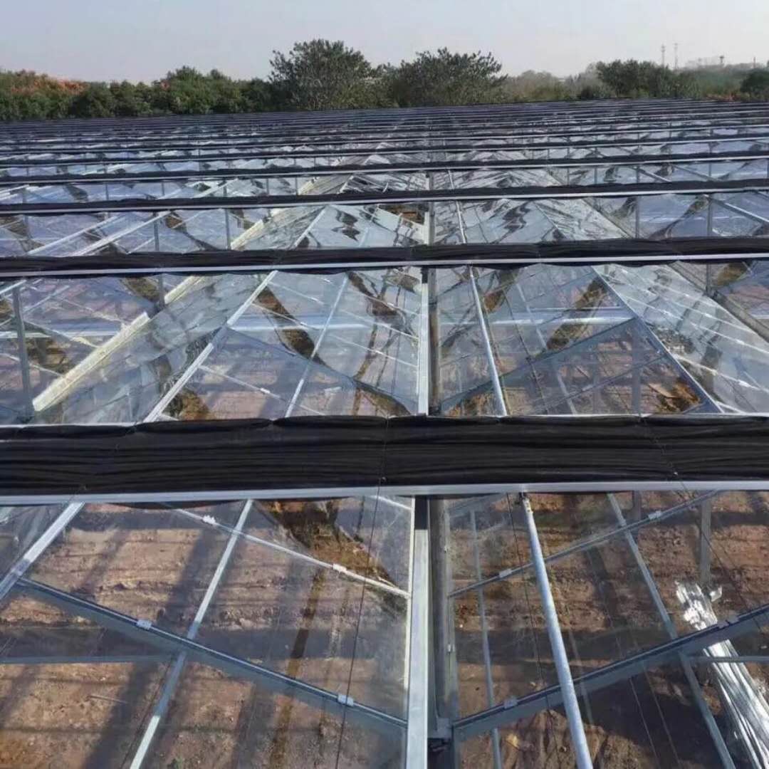 夏天为什么你的温室大棚不能用，而别人家的温室大棚里凉爽宜人