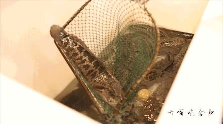 合肥自助鱼火锅,合肥5个火锅店