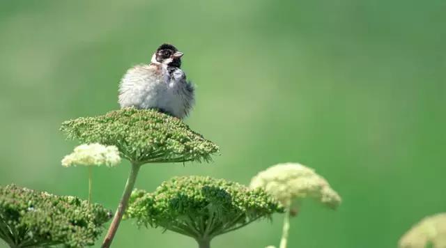 村淘合伙人怎样赚钱,在农村致富合伙人