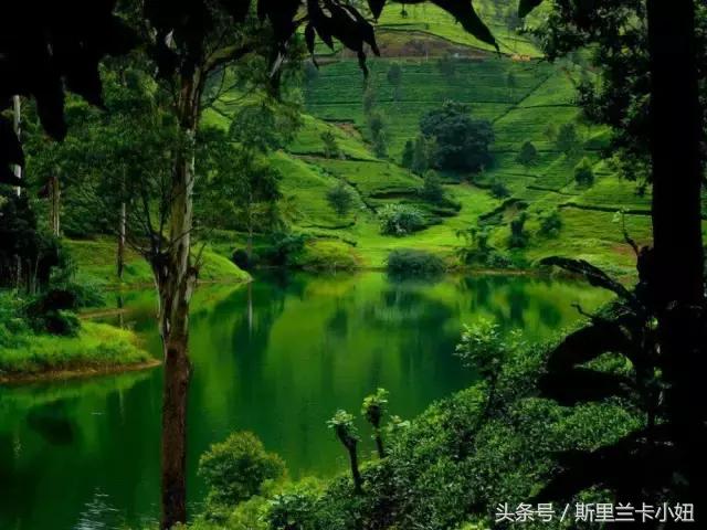 呕心沥血整理的攻略,斯里兰卡旅游必做的9件事情