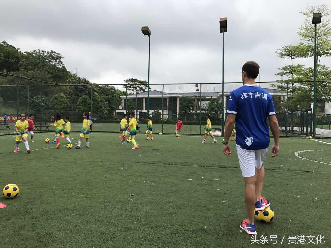 看懂足球的基础知识,认识各种球