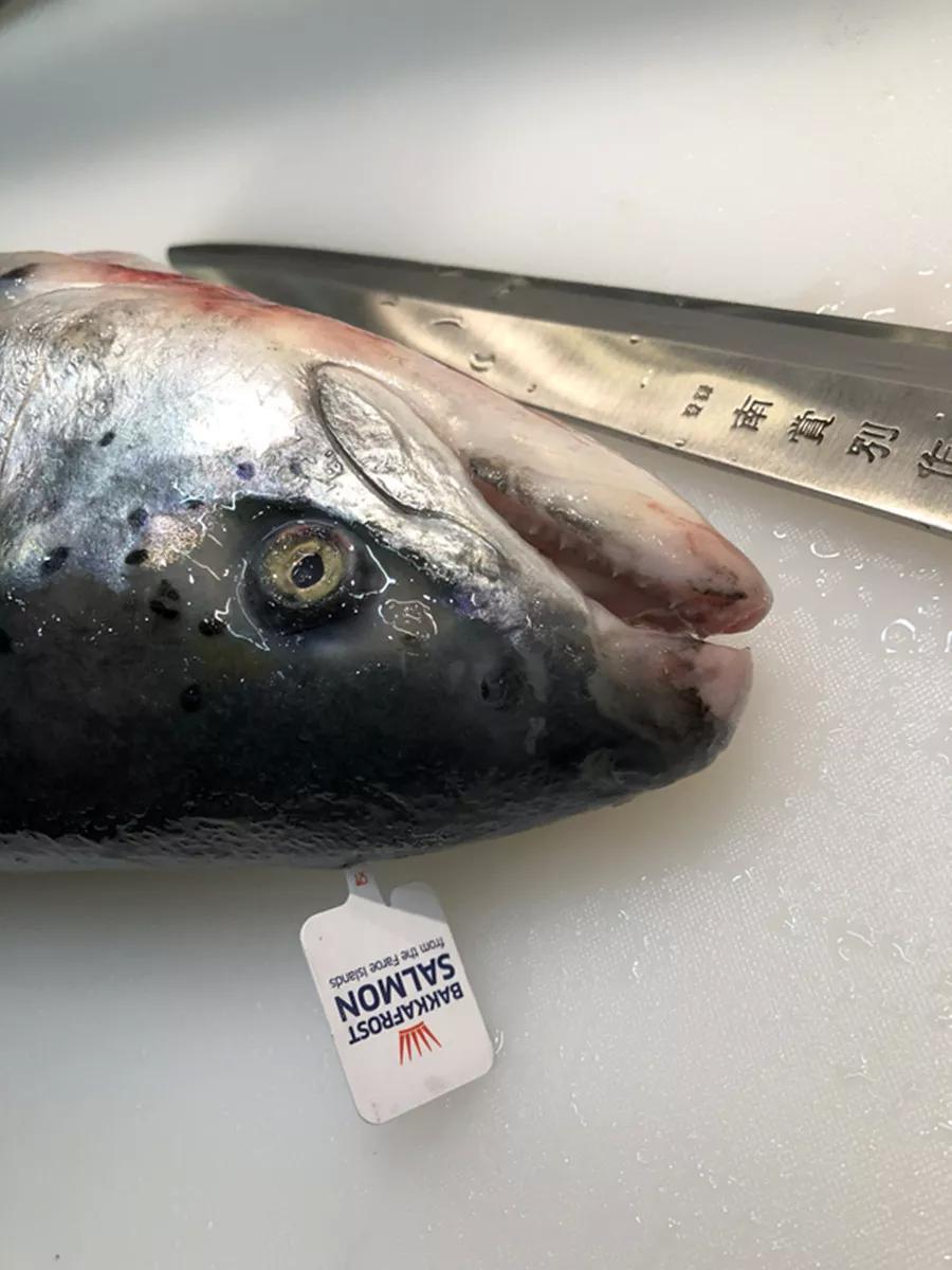 宁波小伙放弃7年国企铁饭碗,转行杀鱼,现在怎么样了?