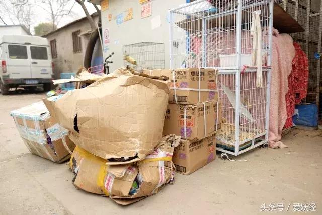 爱妖经陪你过暖冬｜爱要有你才温暖