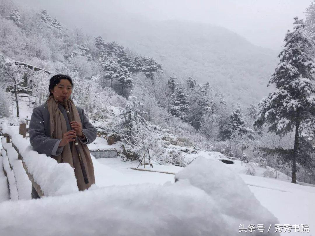 茶道养生课视频教程,茶道养生全集视频