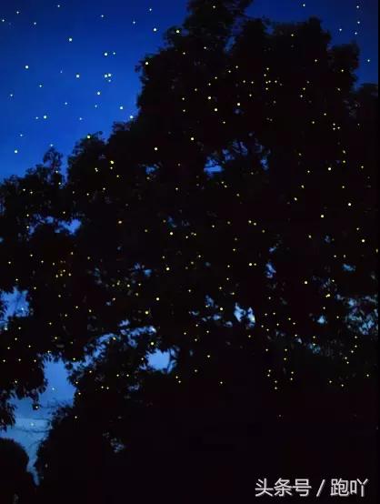 沙巴最美日落海滩,沙巴最美的岛是哪个岛