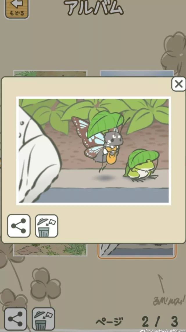 一只蛙的视频,一只蛙