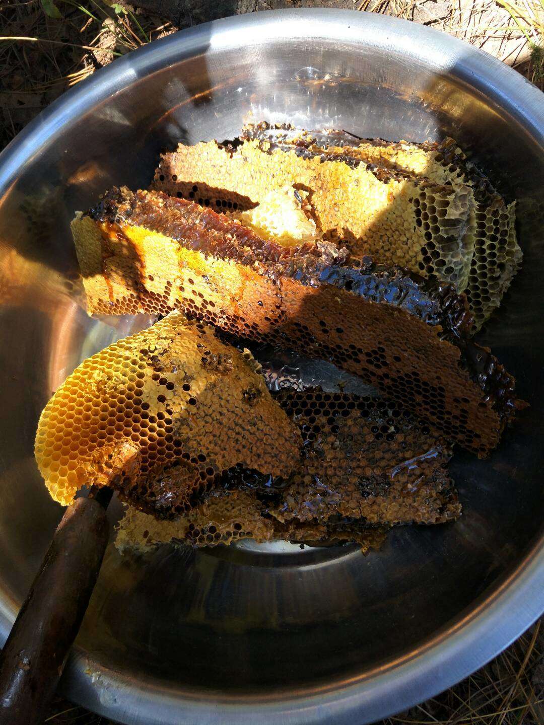 特级蜂蜜精华,冬宝蜂蜜纯天然正宗蜂蜜