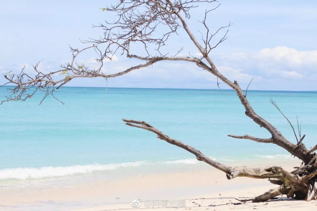 沙巴美人鱼岛该怎么去,美人鱼岛到机场