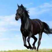 同题诗歌——《冬之恋》45首~总汇