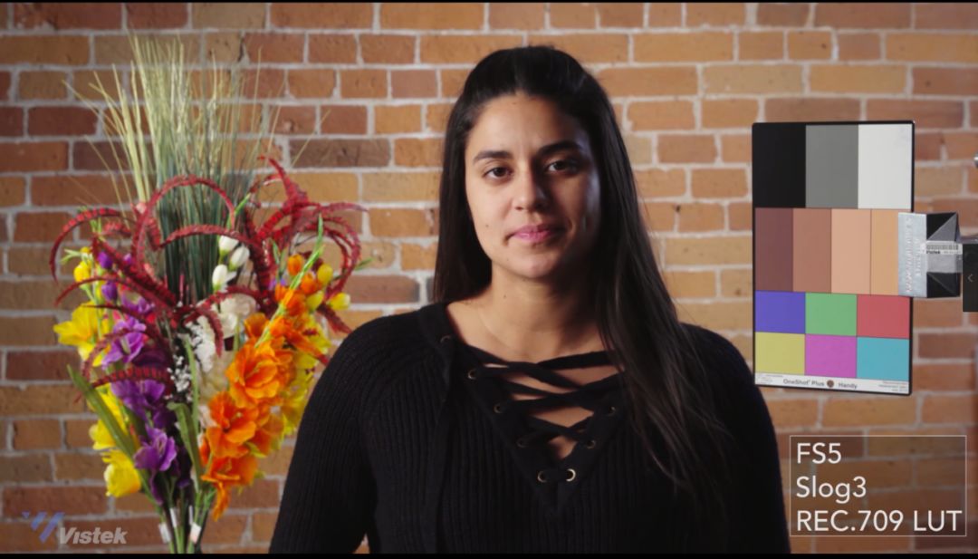 索尼佳能富士拍人像,佳能松下相机直出对比