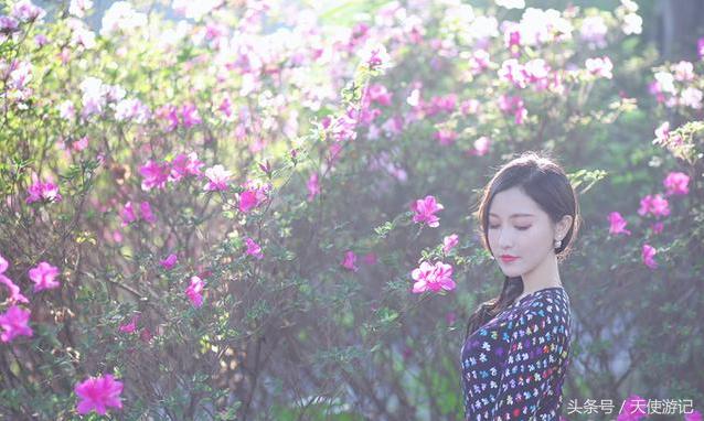 适合打卡的景点香港,香港小众旅游