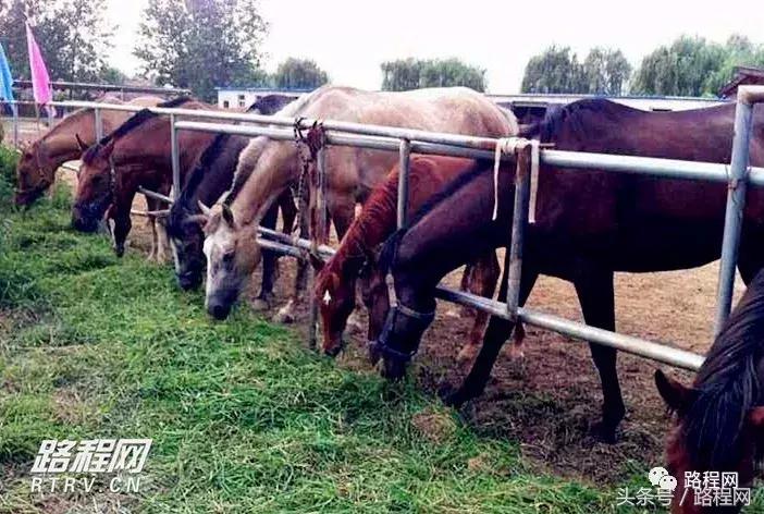 全国100个城市营地,全国十佳营地