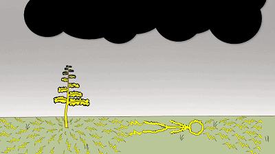 被闪电击中的人会怎么样,被闪电击中得到永生
