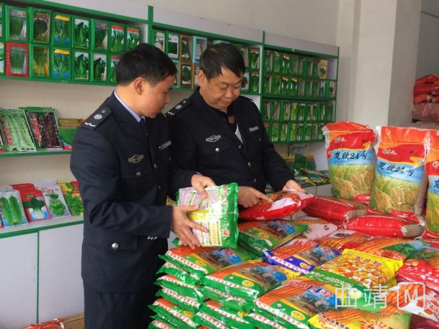 沾益：强化种子监管确保农户用种安全