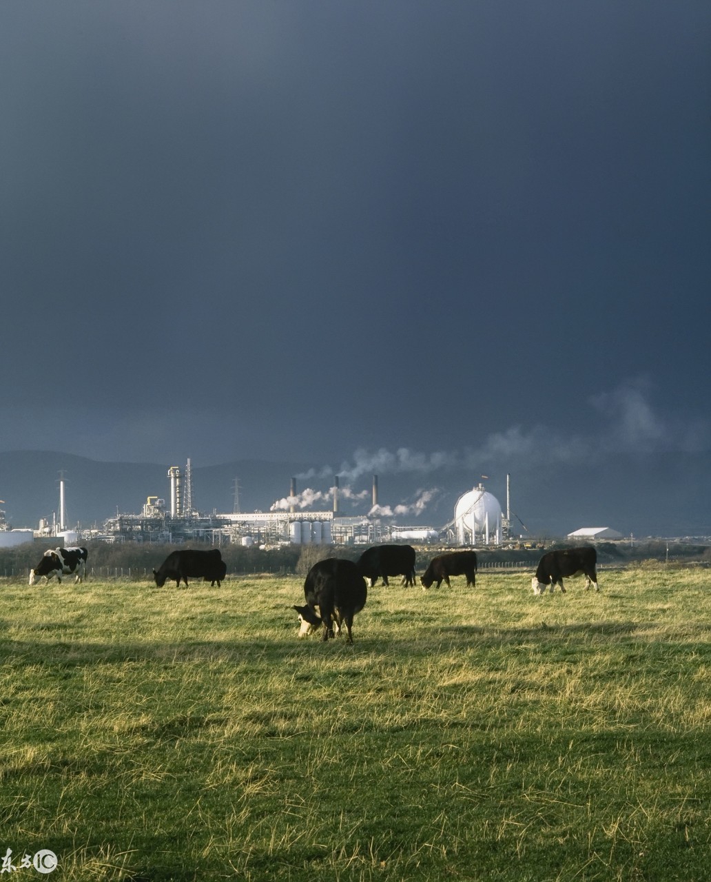 实力最强的进口婴幼儿配方奶粉,中国婴儿配方奶粉进口