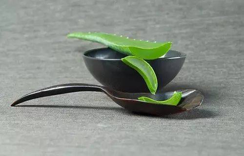 房间放一盆芦荟什么好处,家里养了芦荟可以做什么