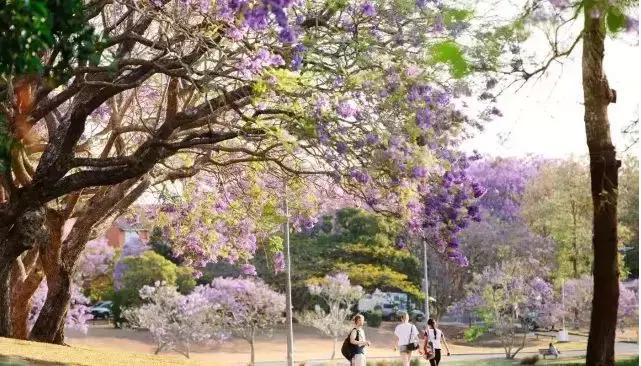 澳洲的先进教育,澳洲教育偏英式还是美式