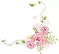 新春走基层｜我市春运首日见闻