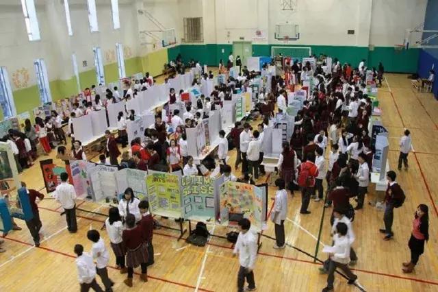 被手抄报搞疯的孩子,手抄报能做出什么样子