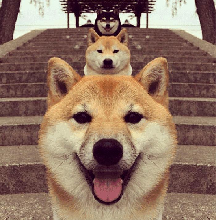 可编辑新年祝福小程序,小程序新年祝福