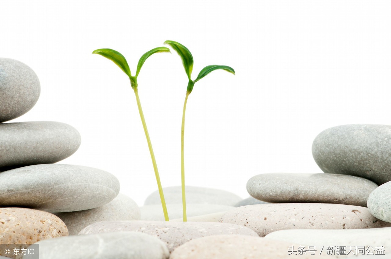 「HIV」艾滋的20大迷思