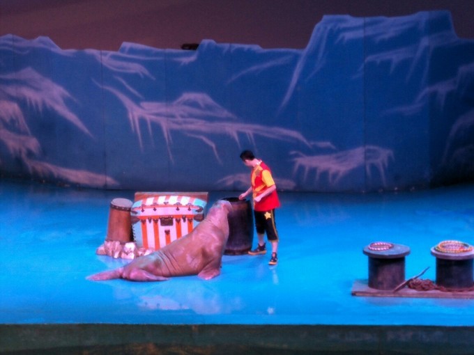 一家老小都去旅游啦,一家老小去游玩