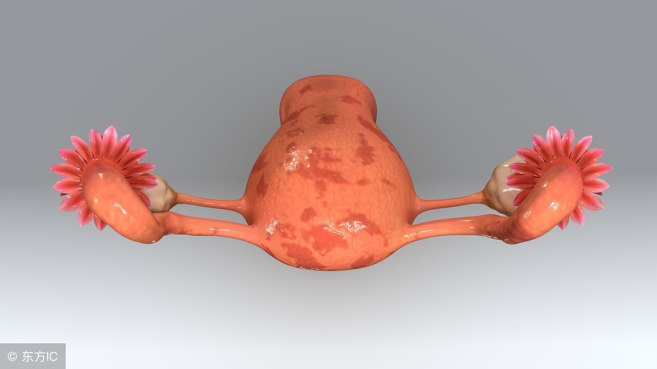 子宫内膜息肉临床表现,子宫内膜息肉症状有哪些表现