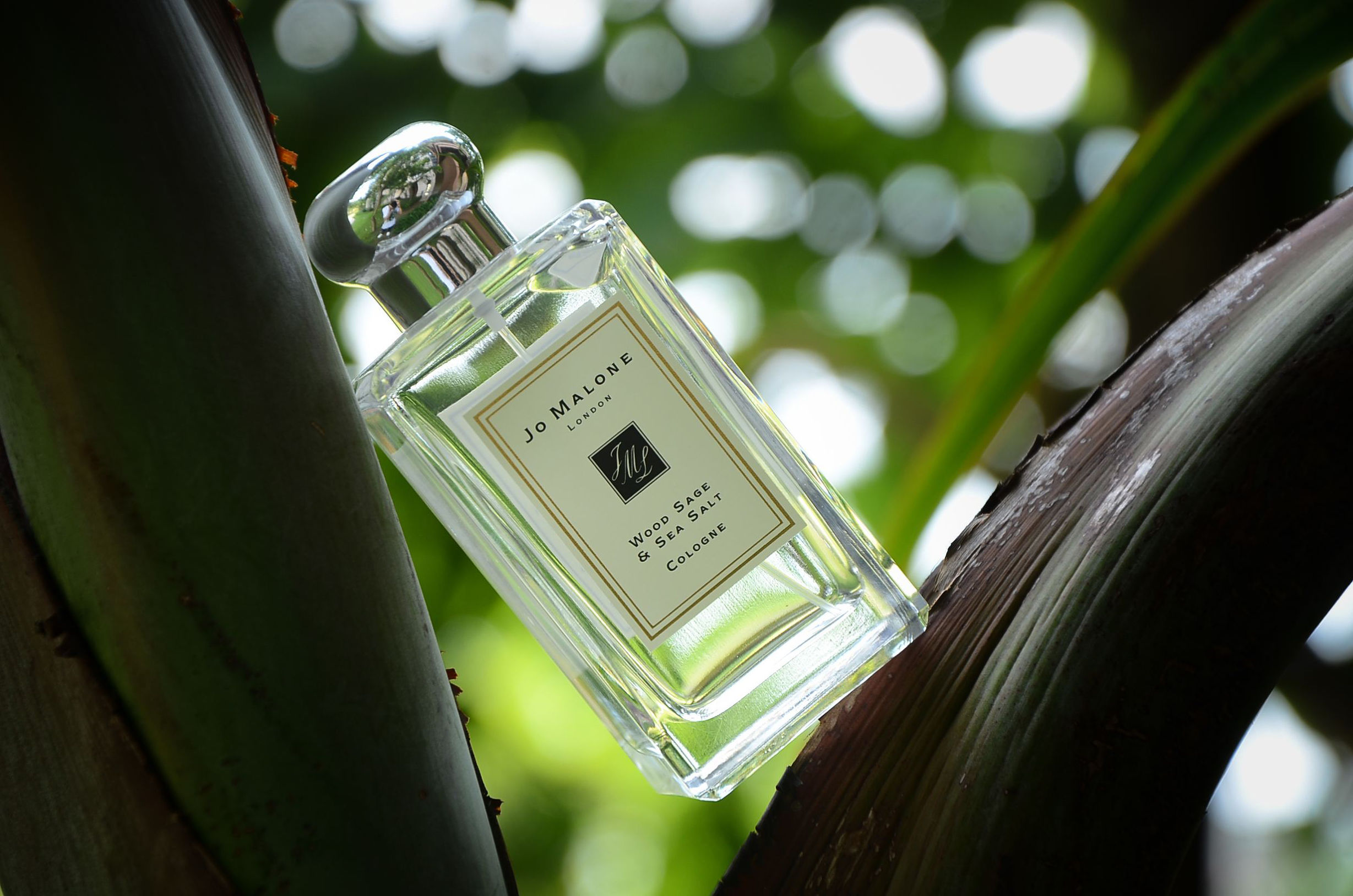 情人节香水男,情人节十大撩人香水