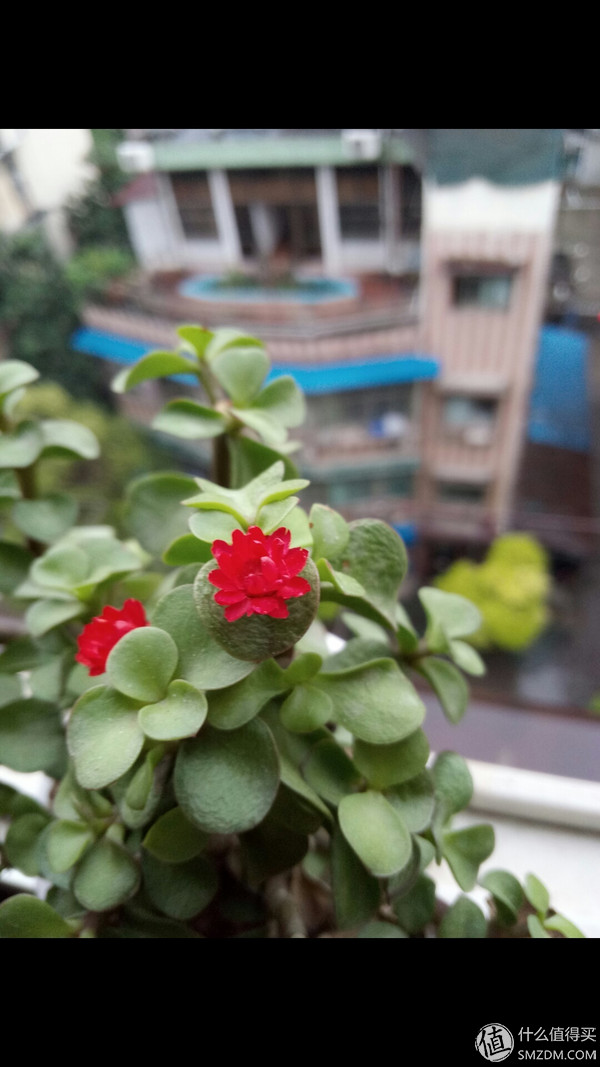 千元机新巅峰魅蓝note3全面评测,魅蓝note3小白测评