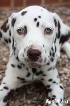 99%的人都不知道的星巴克隐藏菜单,最新星巴克隐藏菜单