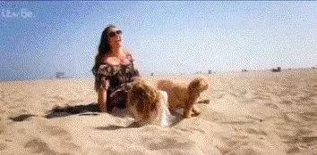 衣帽间比商场还大的亿万富豪，竟然跟我用同款？