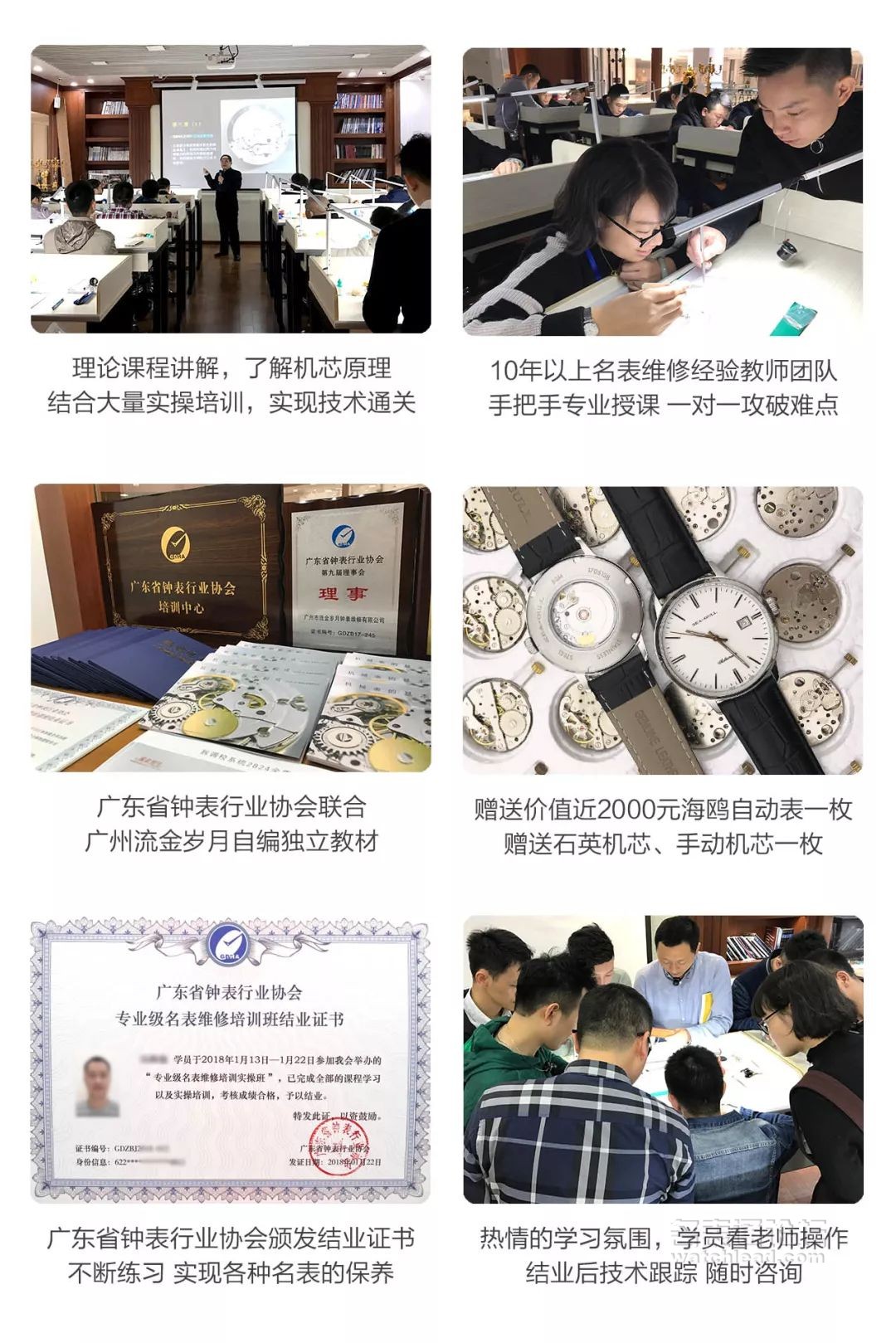 学会修表很简单：零基础也能学会2824、955、2834、2892机芯保养
