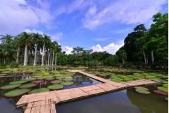 鑫控集团“雨林探秘”求真冬令营今日正式起航