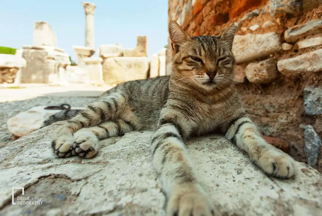 亚欧大陆自驾,亚欧大陆150天自驾