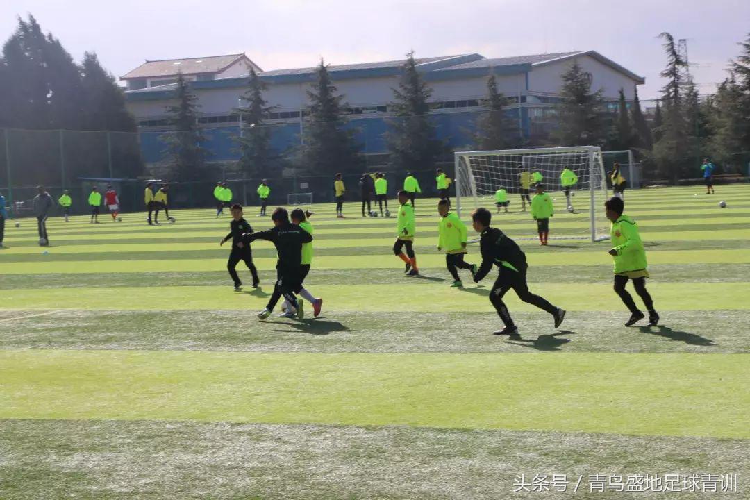 青鸟盛地足球比赛,青鸟盛地足球活动