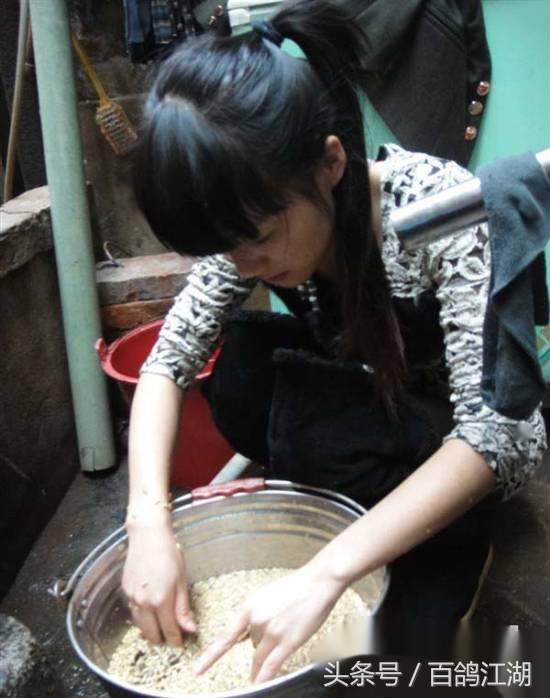 幼鸽鸽粮最佳配方大全,如何制作小鸽子喂鸽粮的东西