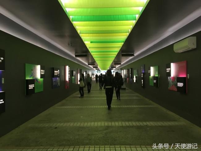 香港一日游自由行攻略及费用,省钱版香港一日游攻略