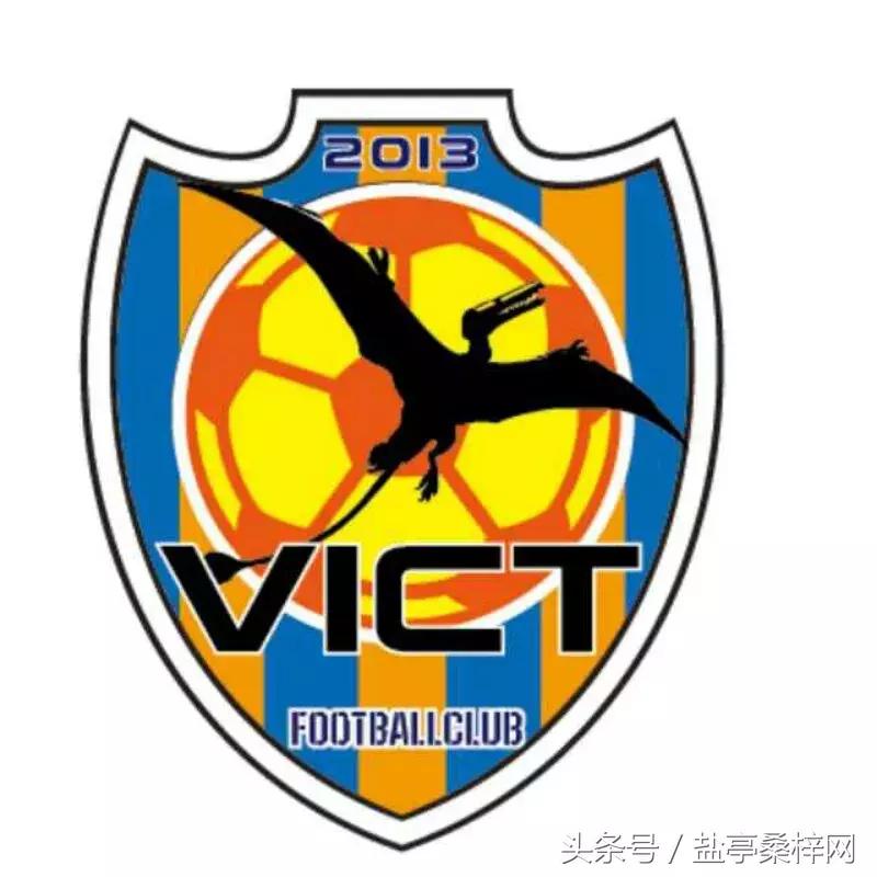 嫘祖球赛,绵阳盐亭嫘祖青少年足球