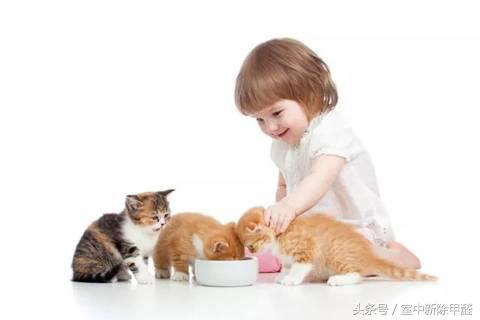 基诺浦有害物质超标,基诺浦童鞋有毒吗