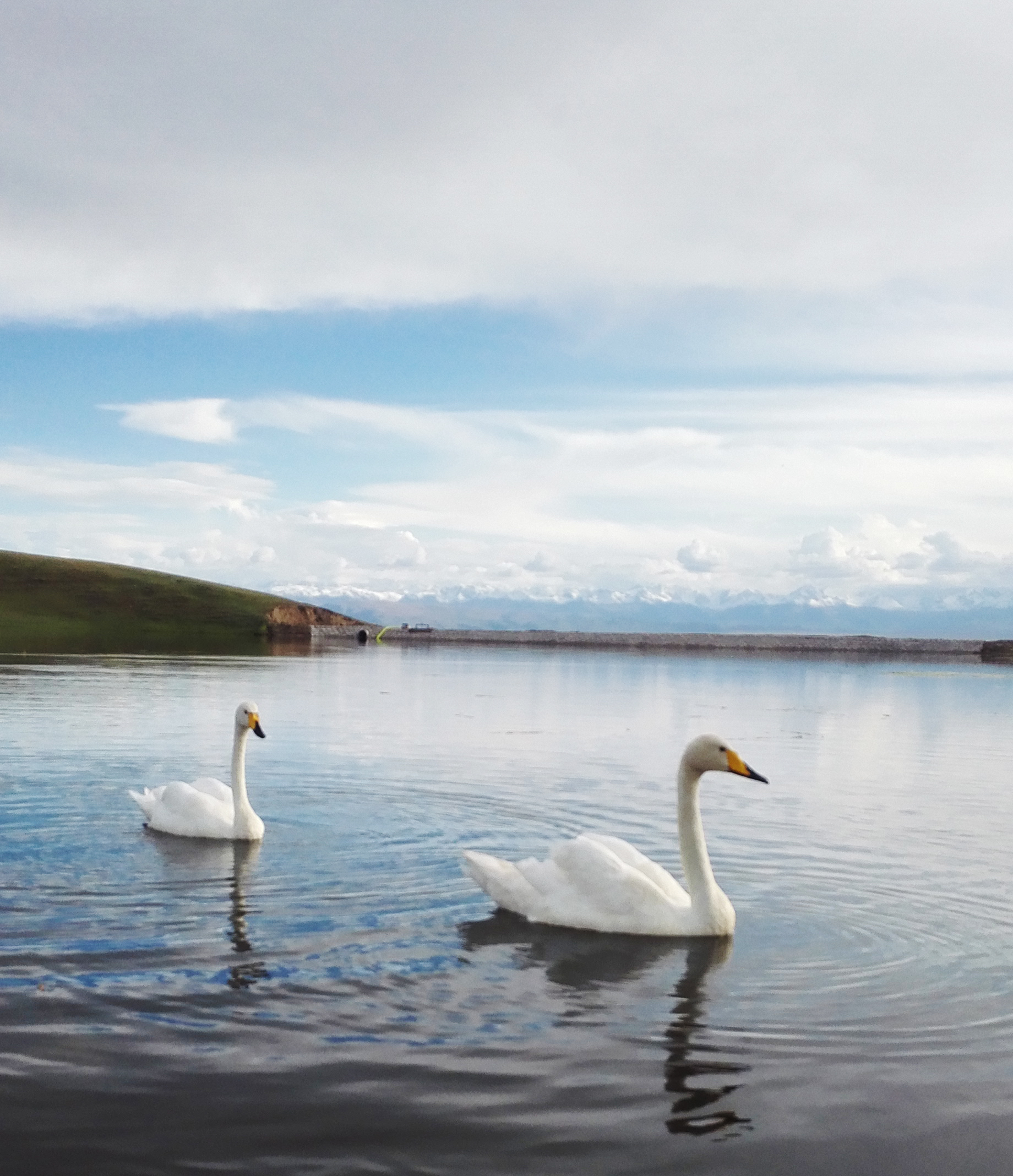 北疆和独库公路自驾游,独库公路和伊犁自驾游攻略
