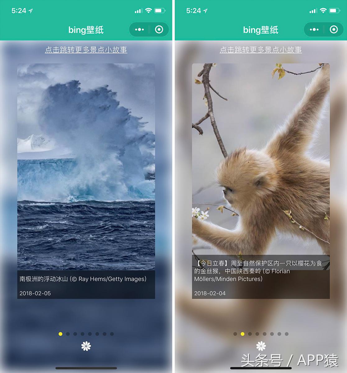 推荐一个超好用的手机壁纸软件,每日壁纸推荐总有一款适合你