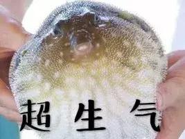 iphone突然出现来电提醒,iphone来电限制