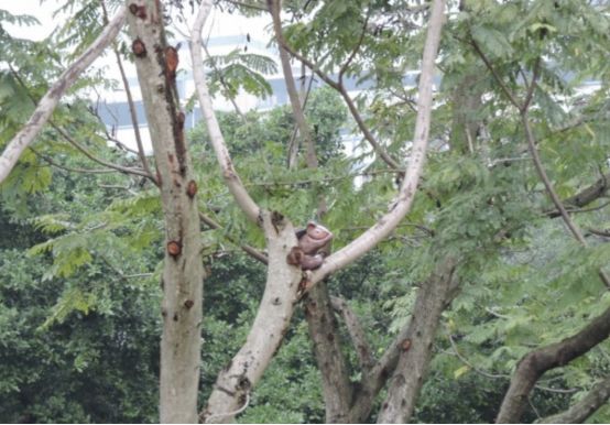 1.27-2.2主题公园一周新闻精选