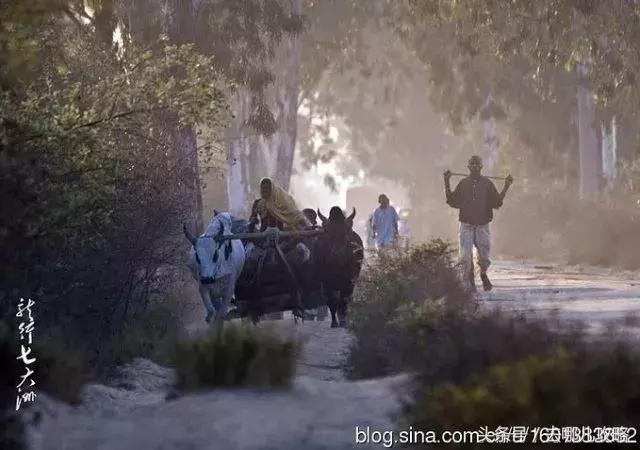 免签国家一览表最新,2023最新免签国家