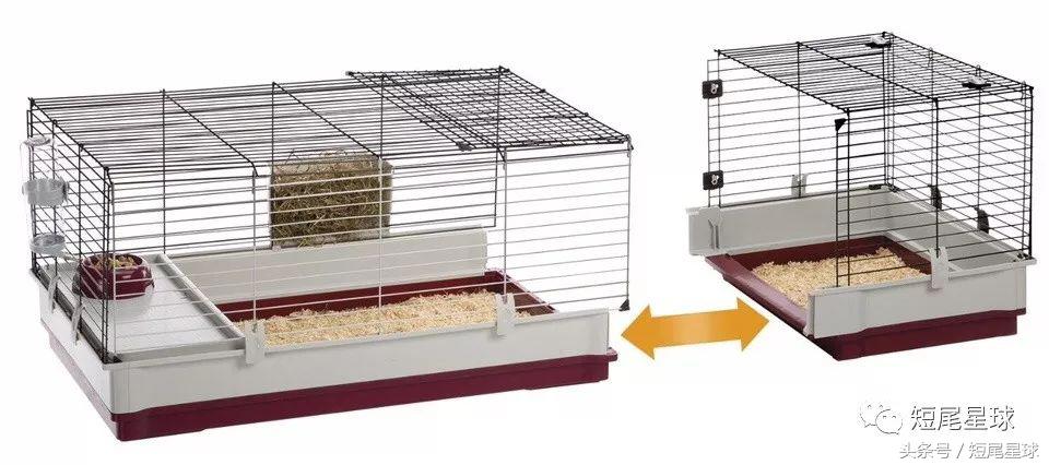 兔兔需要买多大的兔笼,兔兔的专用兔笼