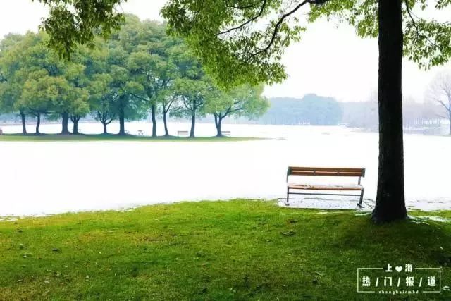 上海17号线到东方明珠,上海17号线东方绿舟