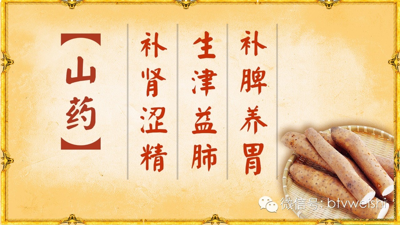 养生堂视频调养肝肾,北京卫视养生堂脾肾虚视频